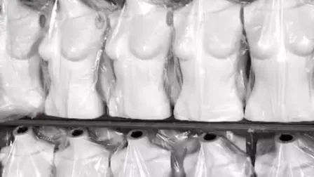 Abstract Mannequin Head with Wig Display Mannequin 